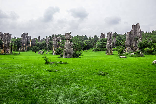 istock Chinese Yunnan Kunming Stone Forest Scenery 502350605