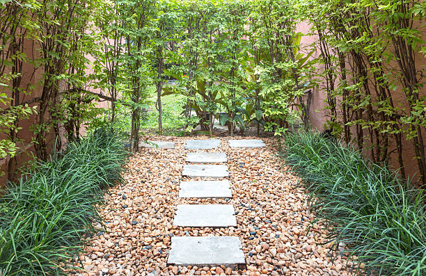 istock walkway in the green grass field with tree 502350871