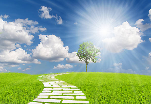 istock The walk on the grass to the tree 502352190