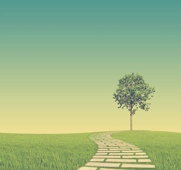 istock The walk on the grass to the tree 502352204