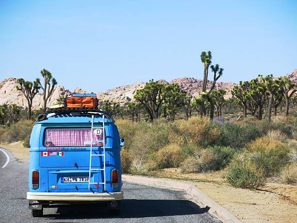 vw bus en el parque nacional joshua tree - truck semi truck car transporter vehicle trailer fotografías e imágenes de stock