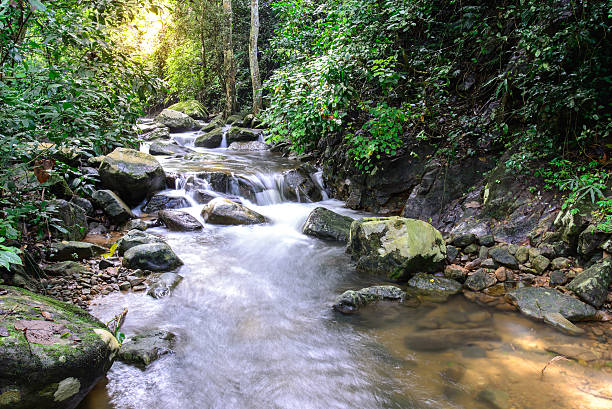 istock Krok E Dok waterfall in national park, Saraburi Thailand. 502353934