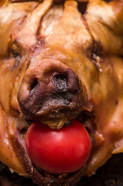 istock Cooked pigs head from frontal angle with red tomato stuffed 502353998