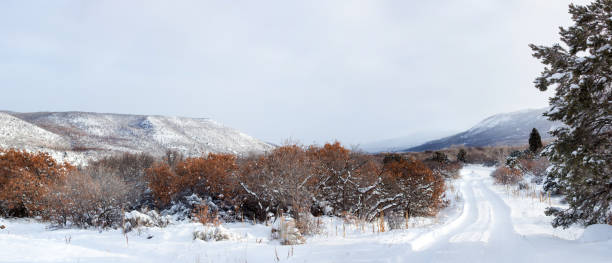 istock Grand Mesa Wintery Landscape Colorado Panorama 502354132