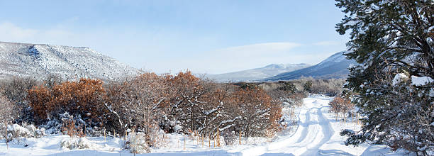 istock Grand Mesa Wintery Landscape Colorado Panorama 502354140