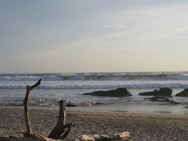 istock Driftwood and Rocks on an otherwise empty beach 502354346