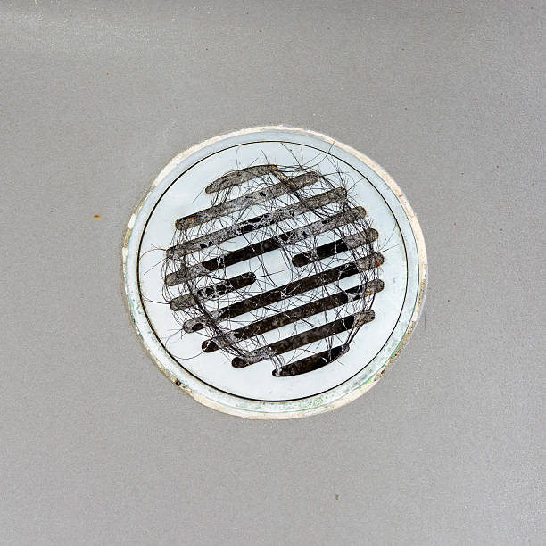 istock Hair clump in bath drain. 502354852