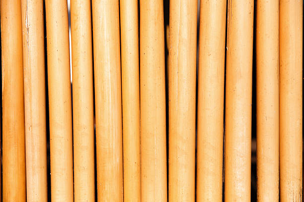 bambú fondo de madera - bamboo shoot bamboo indoors plant fotografías e imágenes de stock