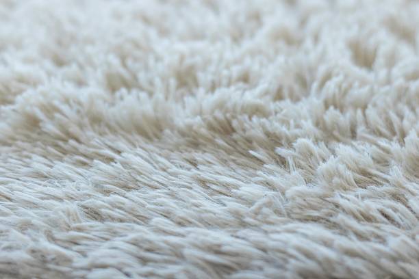 istock Carpet hair 502358418