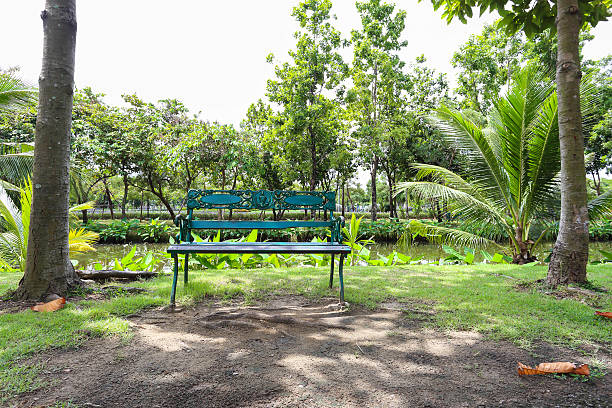 istock Vintage green chairs in the garden. 502361900