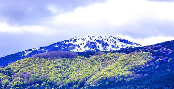 istock National park Pelister , Macedonia 502363780
