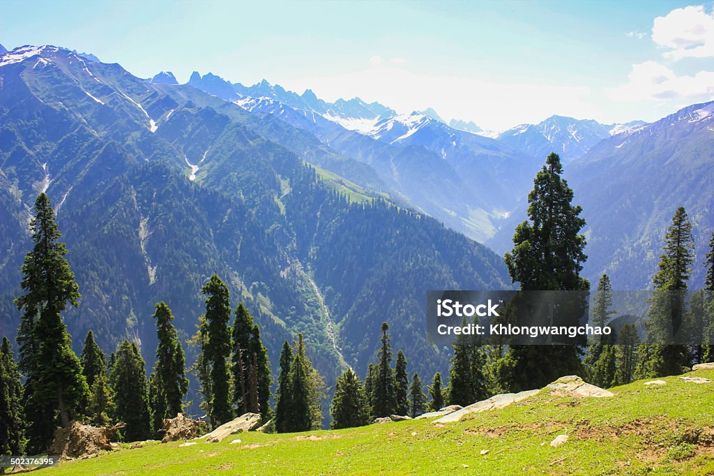 Primavera en el valle - Foto de stock de Aire libre libre de derechos