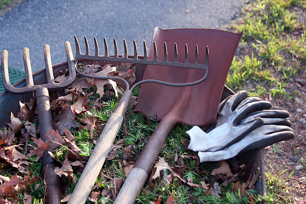 Landscaping tools with room for copy Landscaping tools with room for copy rake stock pictures, royalty-free photos & images