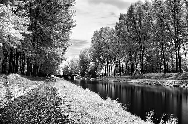 istock infrared long exposure forest and river 502378399