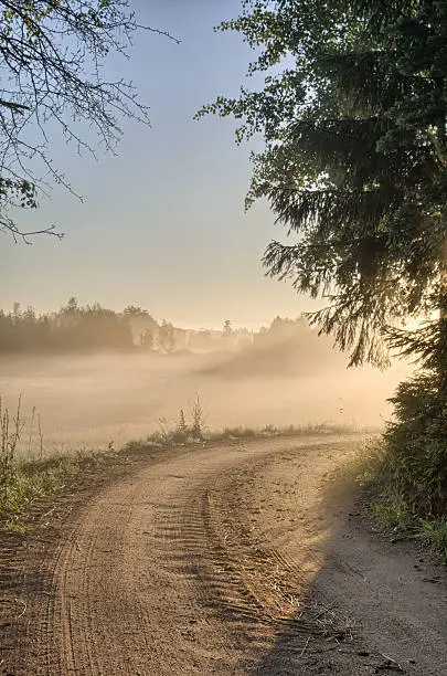 Photo of country road in forest, hdr