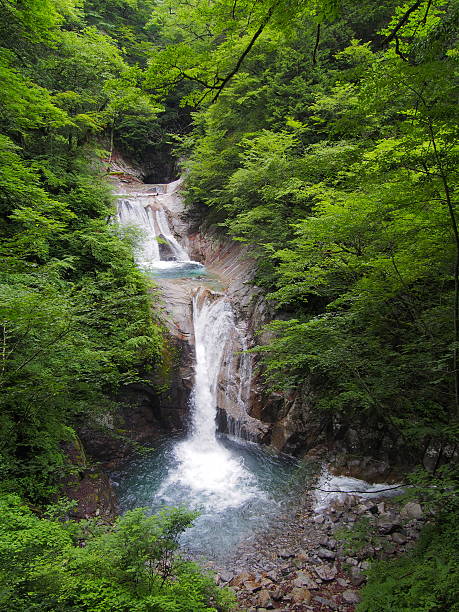istock Nishizawa Valley in Yamanashi, Japan 502379283