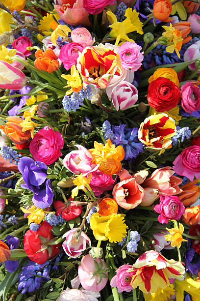 istock Spring flowers in bright colors 502379797