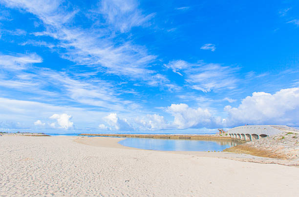 istock Tropical white sand beach and blue sky 502380879