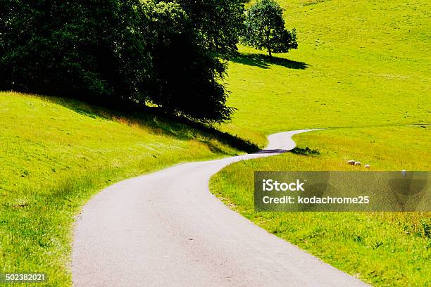 Field Stock Photo - Download Image Now - Agricultural Field, Agriculture, Beauty In Nature