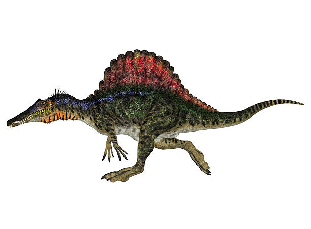 istock Illustration of a Spinosaurus 502382337