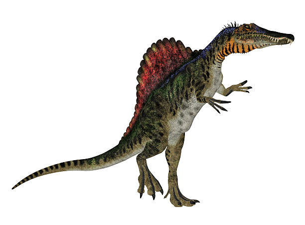 istock Illustration of a Spinosaurus 502382339