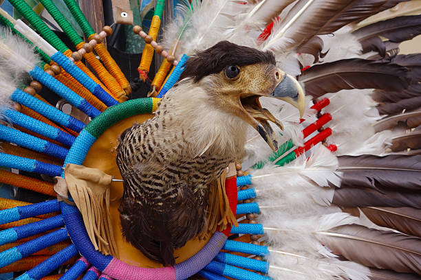 istock Indian headdress 502382755