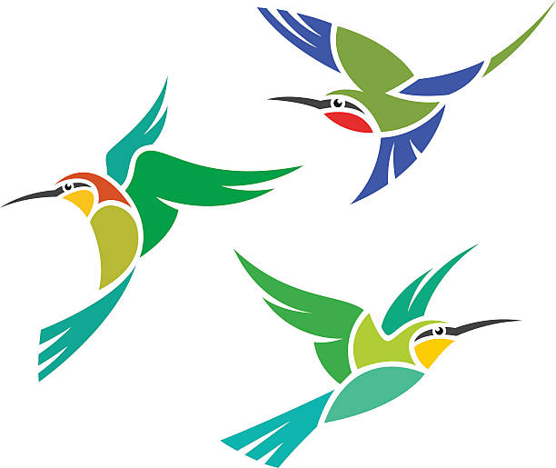 Stylized Birds Stylized Birds - Bee-eaters bee eater stock illustrations