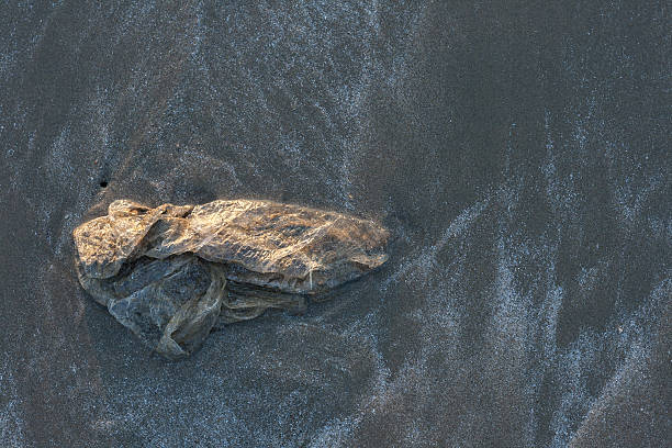 Used plastic bag garbage on sand beach stock photo