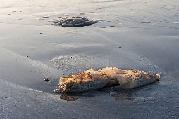 Used plastic bag garbage on sand beach stock photo