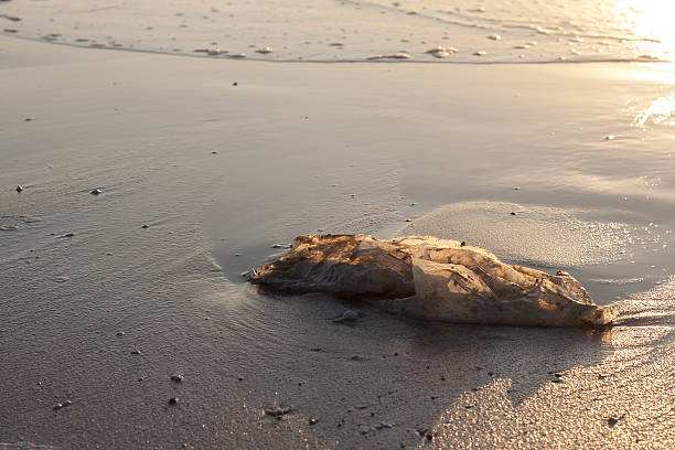 Used plastic bag garbage on sand beach stock photo