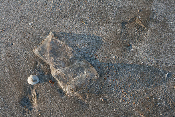 Used plastic bag garbage on sand beach stock photo