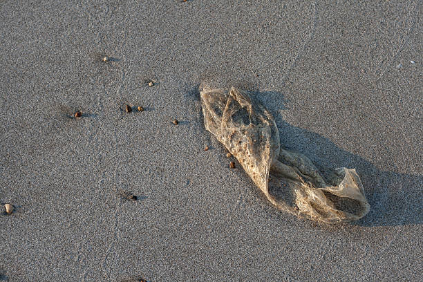 Used plastic bag garbage on sand beach stock photo