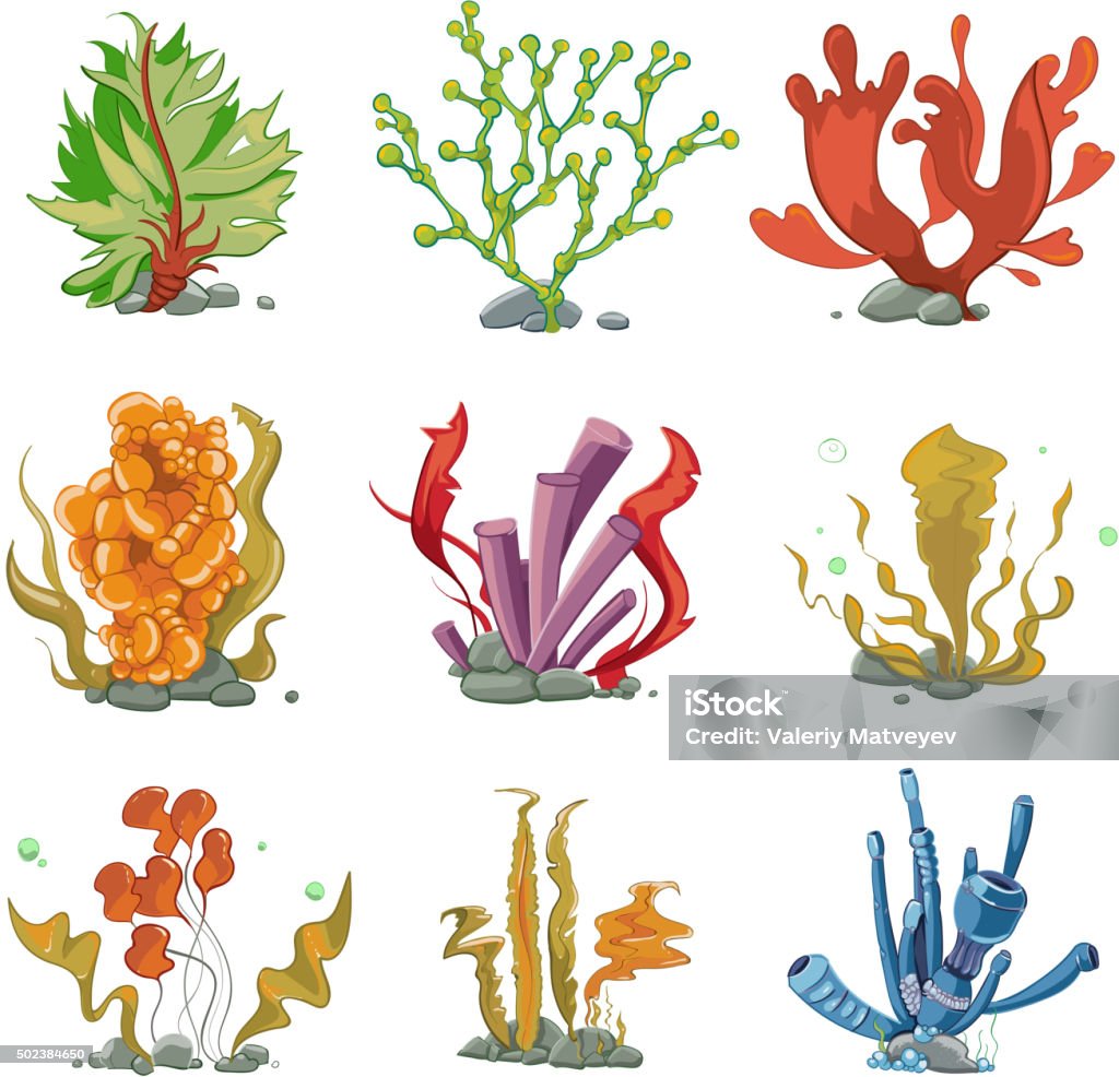 Underwater plants in cartoon vector style Underwater plants in cartoon vector style. Ocean life, underwater sea, nature seaweed illustration 2015 stock vector