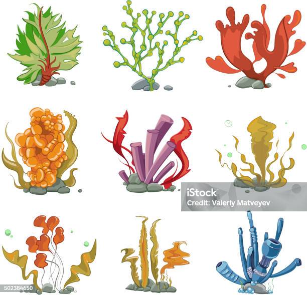 Underwater Plants In Cartoon Vector Style Stock Illustration - Download Image Now - 2015, Abstract, Animal Wildlife