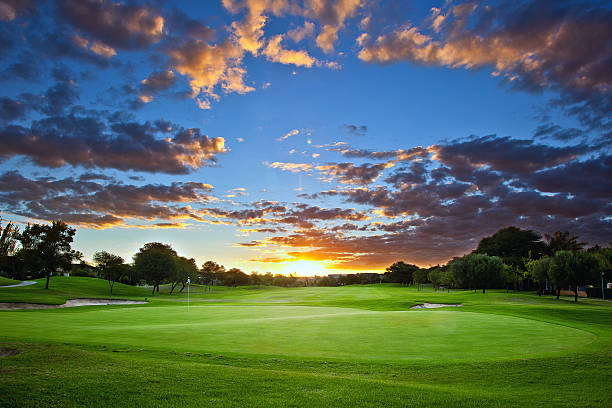 sonnenuntergang über den golfplatz - golf landscape golf course tree stock-fotos und bilder