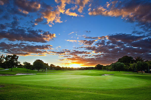 tramonto sopra il campo da golf - golf landscape golf course tree foto e immagini stock