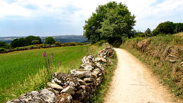 The Way of Santiago.