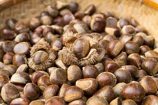 Photo of Chestnuts