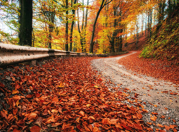 istock autumn alley 502410796