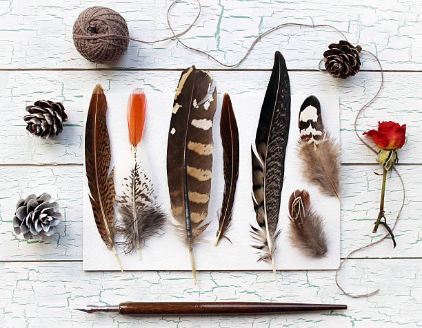 istock Trendy bohemian photography 502411392