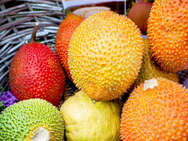 gac fruits ou bébé jackfruit, cochinchin gourde, à épines amer gour - cochinchin photos et images de collection