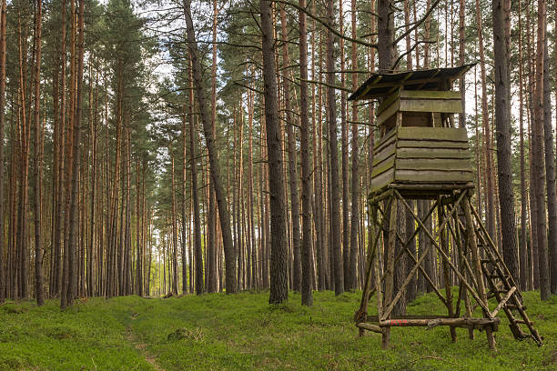 high seat at the edge of a forest in Germany