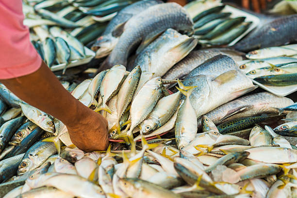 istock Fresh fish at the morning market 502415216