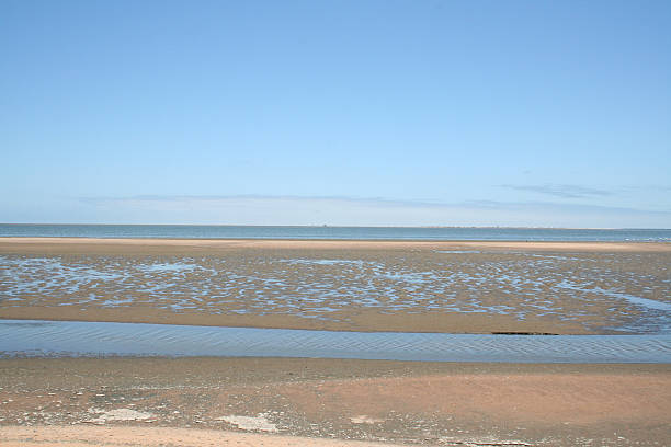 istock Lagoon of Walvis Bay, Namibia, Africa 502415513