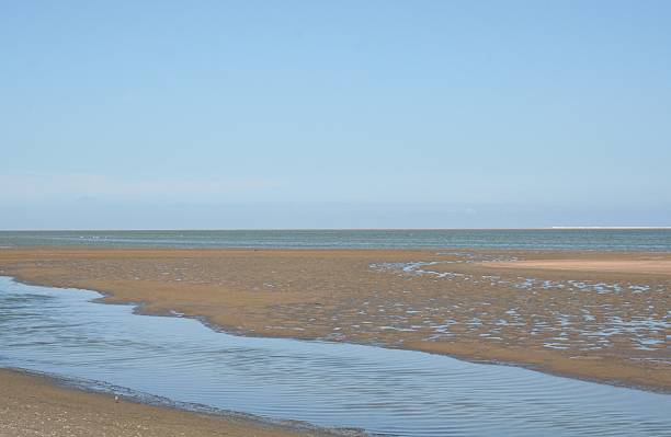 istock Lagoon of Walvis Bay, Namibia, Africa 502415515