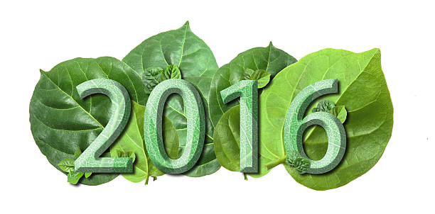 istock Happy new year 2016 wood text texture and leaf 502417166