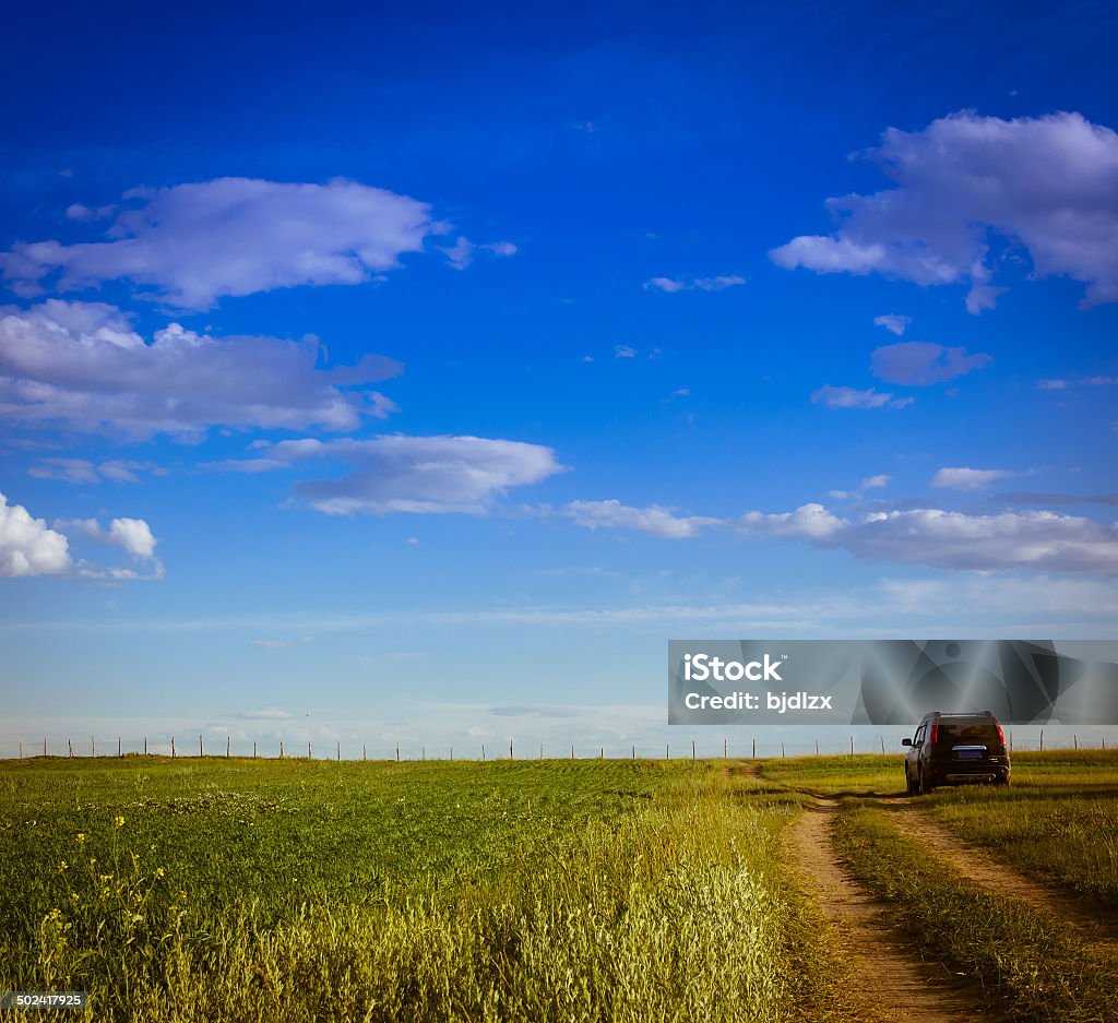 grassland and Country road Accessibility Stock Photo