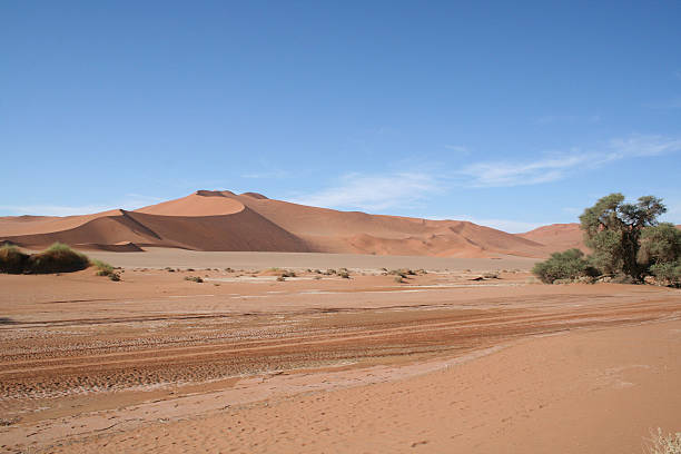 offroad, les dunes du désert du namib, sossusvlei, namibie, en afrique, au coucher du soleil - sol caractéristiques dune construction photos et images de collection