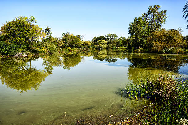 [b] Washington Park on the South Side of Chicago. Peaceful lagoon in summer with person fishing in the background. [/b]\n\nHave you seen my [url=http://www.istockphoto.com/search/lightbox/9606484] Washington Park Lightbox [/url]\nI also have an iStockphoto    [url=http://www.istockphoto.com/litebox.php?liteboxID=222044] Chicago Views Lightbox[/url] \n\n[url=file_closeup.php?id=3326462][img]file_thumbview_approve.php?size=1&id=3326462[/img][/url] [url=file_closeup.php?id=1660135][img]file_thumbview_approve.php?size=1&id=1660135[/img][/url] [url=file_closeup.php?id=1541128][img]file_thumbview_approve.php?size=1&id=1541128[/img][/url] [url=file_closeup.php?id=1732014][img]file_thumbview_approve.php?size=1&id=1732014[/img][/url] [url=file_closeup.php?id=20840220][img]file_thumbview_approve.php?size=1&id=20840220[/img][/url] [url=file_closeup.php?id=10486193][img]file_thumbview_approve.php?size=1&id=10486193[/img][/url]\n[url=file_closeup.php?id=3350834][img]file_thumbview_approve.php?size=1&id=3350834[/img][/url]  [url=file_closeup.php?id=8205580][img]file_thumbview_approve.php?size=1&id=8205580[/img][/url] [url=file_closeup.php?id=2713299][img]file_thumbview_approve.php?size=1&id=2713299[/img][/url] [url=file_closeup.php?id=1902632][img]file_thumbview_approve.php?size=1&id=1902632[/img][/url] [url=file_closeup.php?id=3619639][img]file_thumbview_approve.php?size=1&id=3619639[/img][/url] [url=file_closeup.php?id=1833269][img]file_thumbview_approve.php?size=1&id=1833269[/img][/url] [url=file_closeup.php?id=1852972][img]file_thumbview_approve.php?size=1&id=1852972[/img][/url]