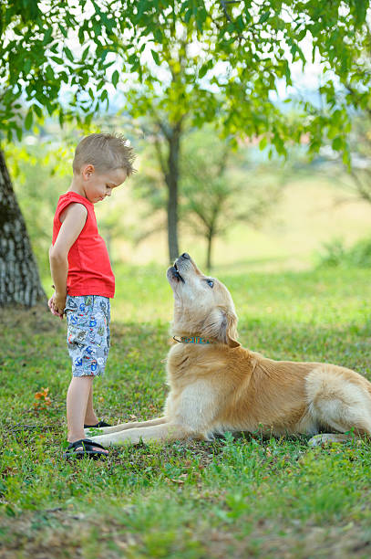istock Young boy with the dog 502421124